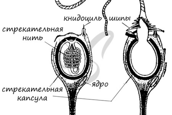 Как зарегаться в кракен